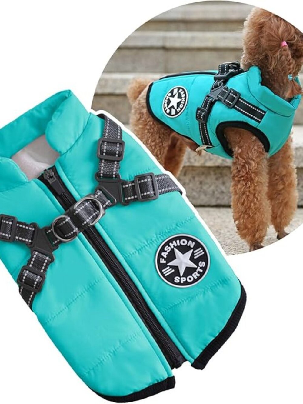 Small Dog Coat with Built-in Harness - Picture 6 of 7